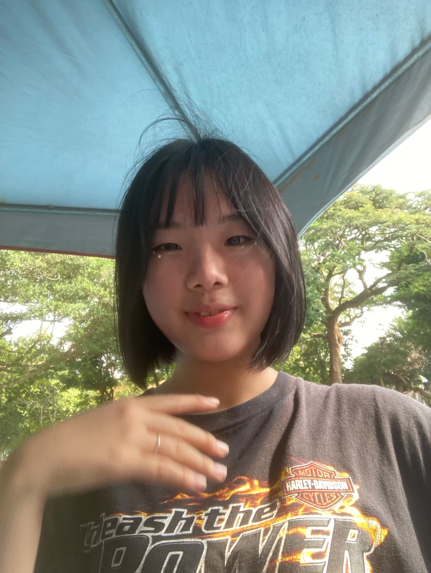 各個時期的我 Mylink
