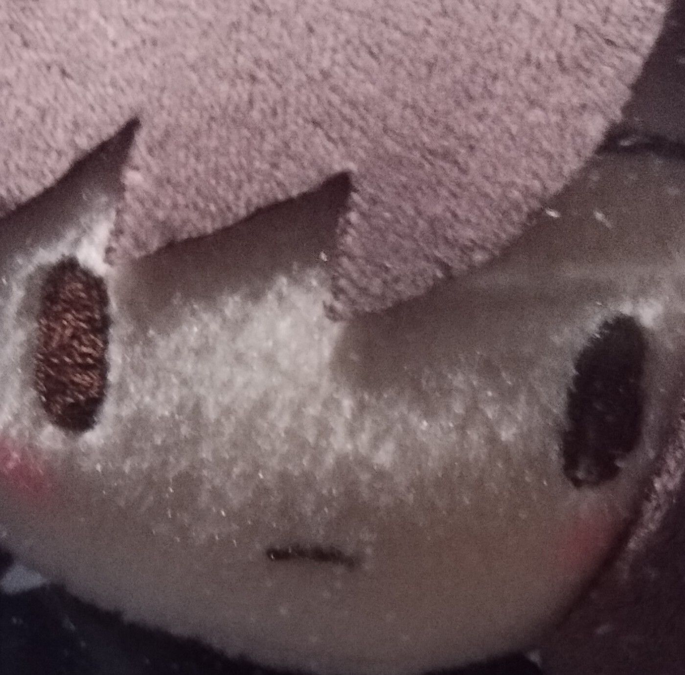 xuena追星版自介 Mylink