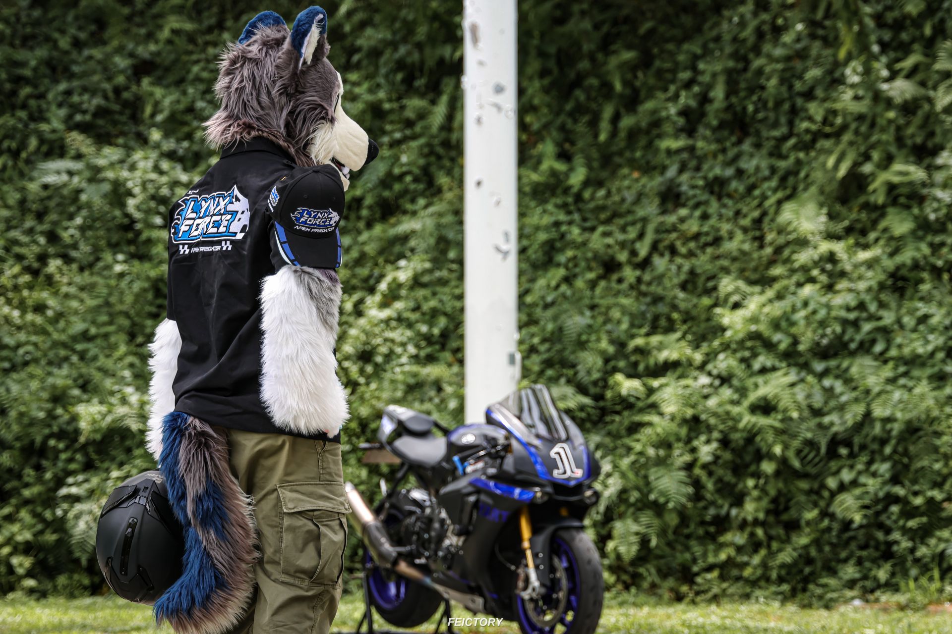 本季主打商品 Mylink