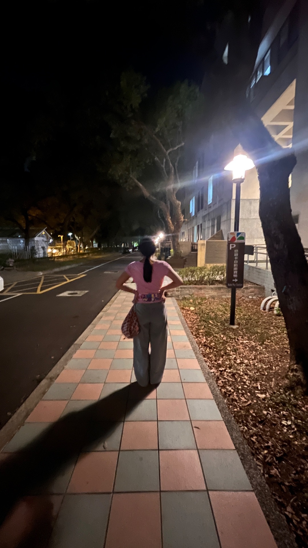 這19年之中的點點滴滴 Mylink