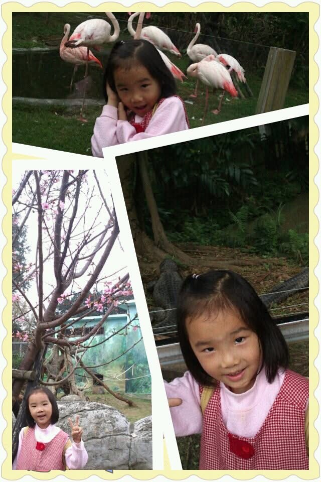 這19年之中的點點滴滴 Mylink