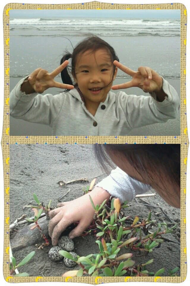 這19年之中的點點滴滴 Mylink