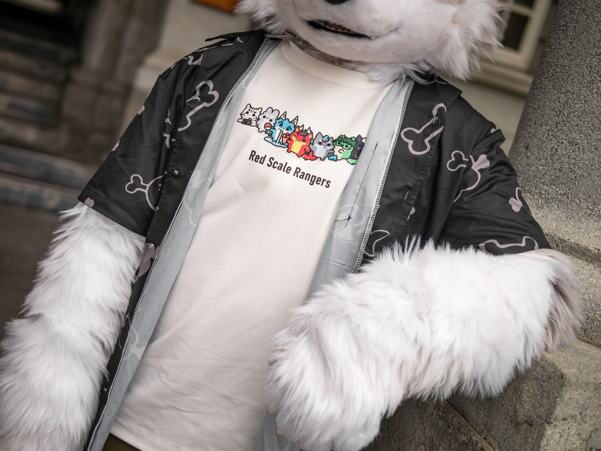 本季主打商品 Mylink