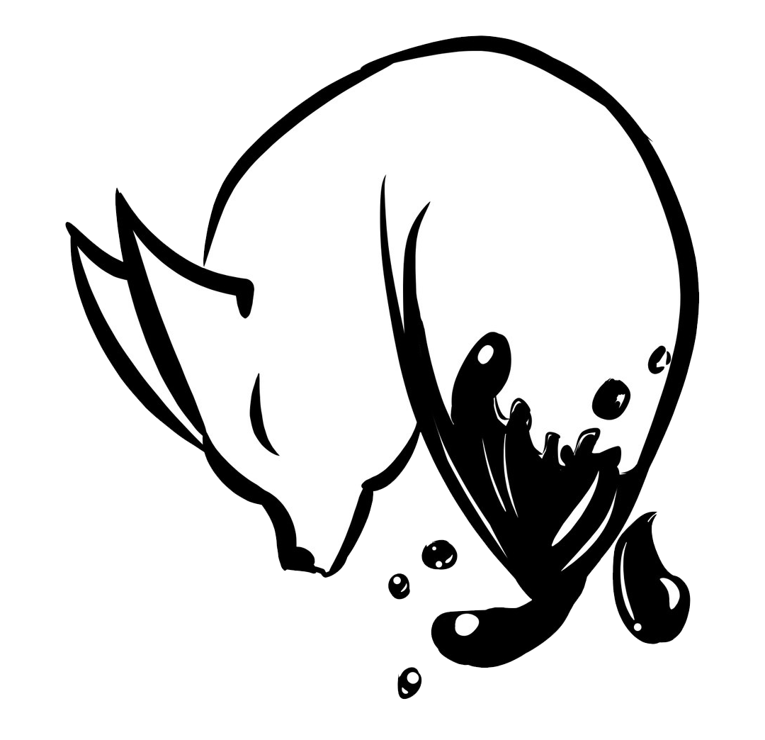 用尾巴筆塗的狐狸 Mylink