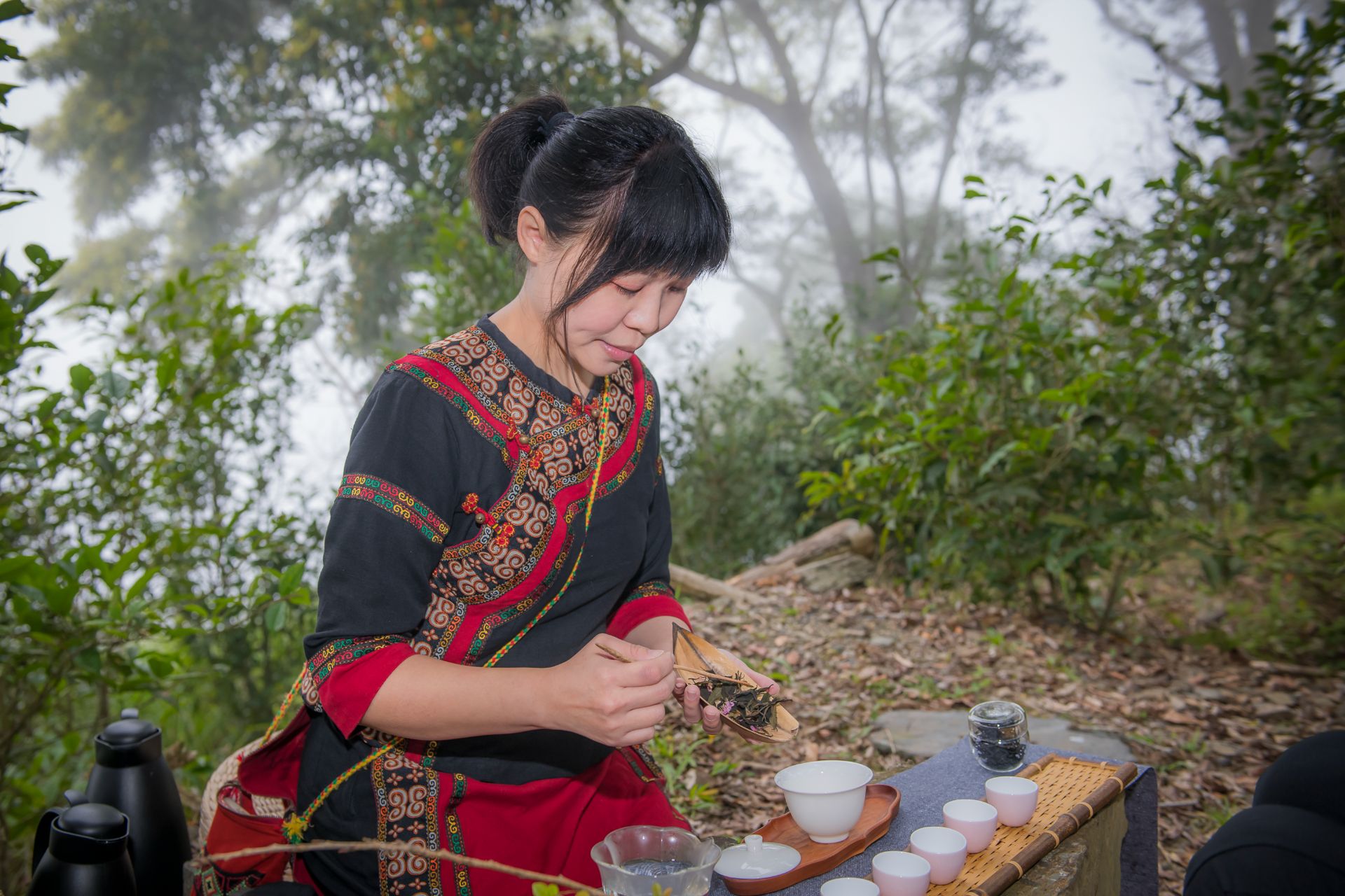 部落主題遊程 Mylink