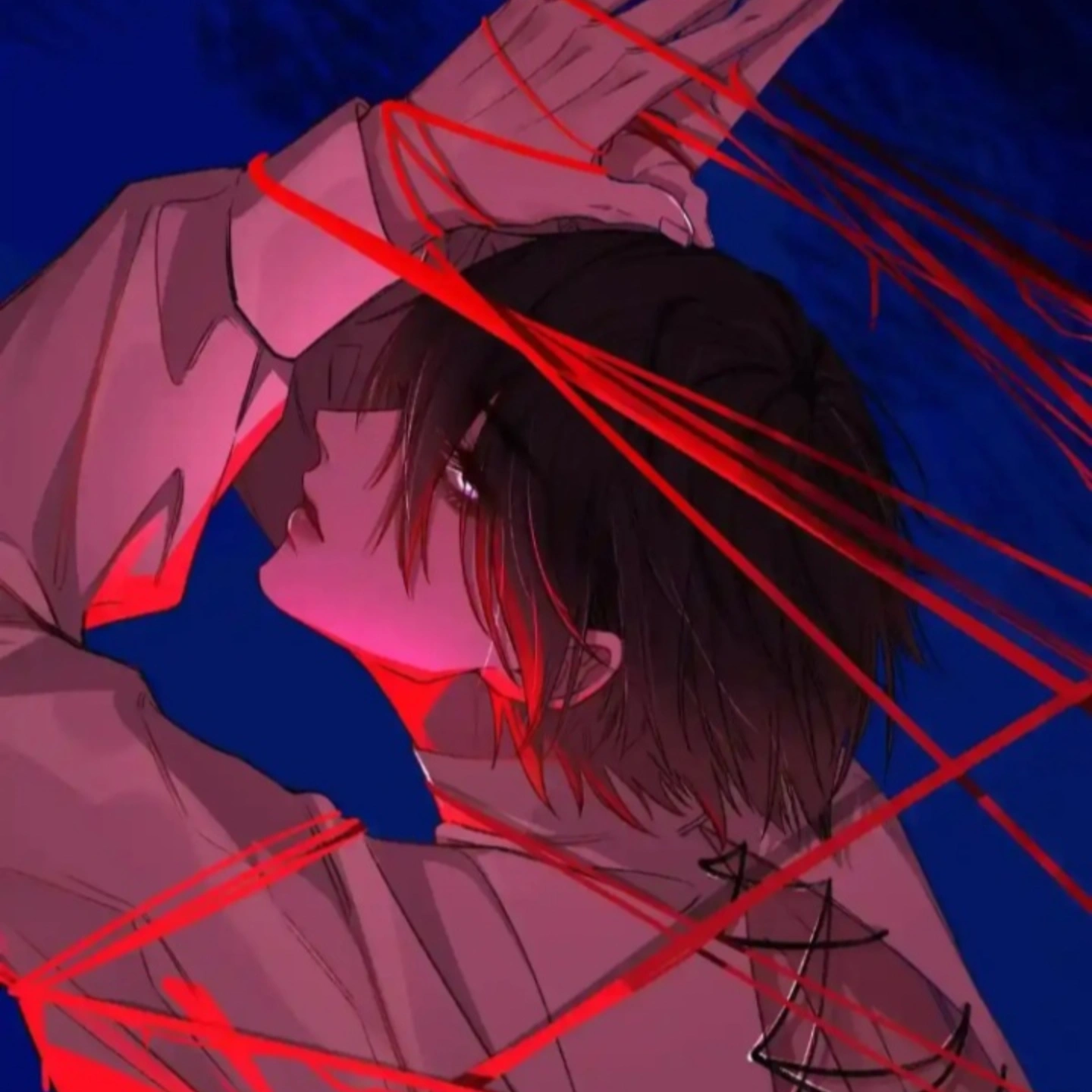 My Bio & STAY Life Mylink