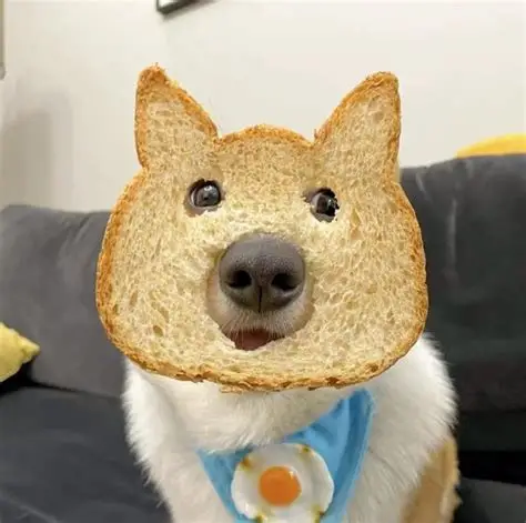 蘇打茶坊｜ 2026台灣 Gleezy 外送茶首選 LINE：62win Mylink