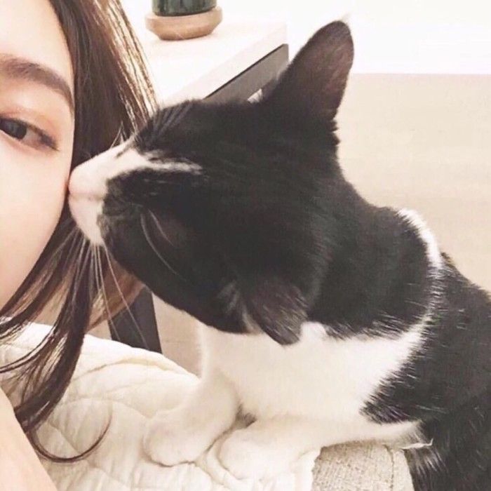 我可以給你取個小名嗎 Mylink