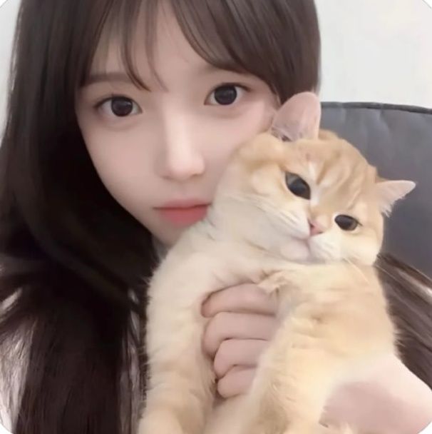 🇹🇼七寶本土外約-全台班表Gleezy:qibao1 Mylink