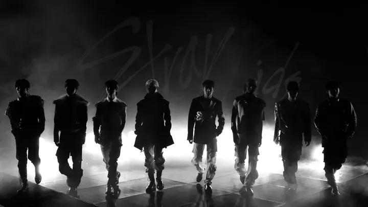 Stray Kids Mylink
