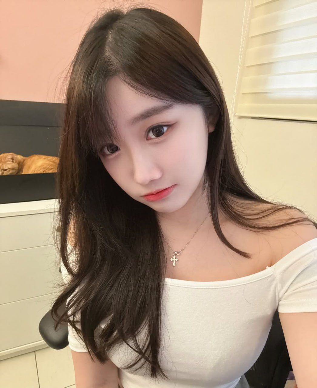 壓力太大？來點輕鬆的少女系互動 Mylink