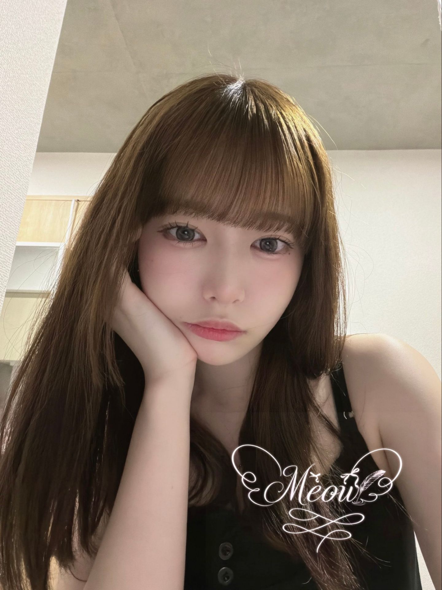 小喵東京大阪外送茶 Mylink