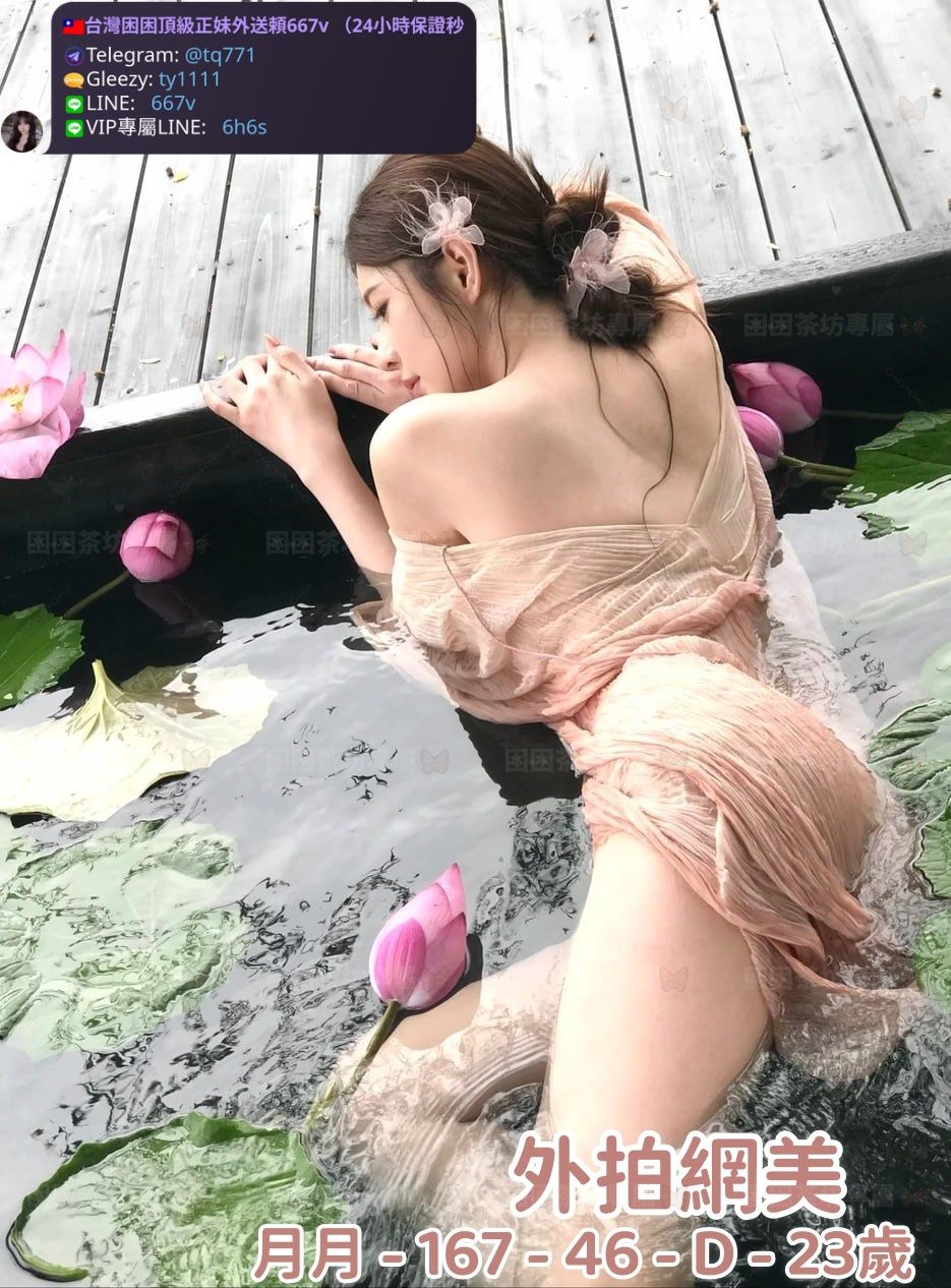 台灣困困茶莊 Mylink